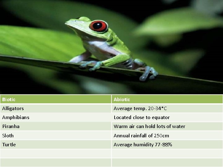 Biotic Abiotic Alligators Average temp. 20 -34*C Amphibians Located close to equator Piranha Warm