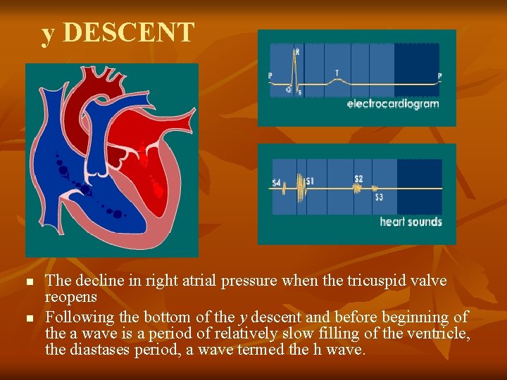 y DESCENT n n The decline in right atrial pressure when the tricuspid valve