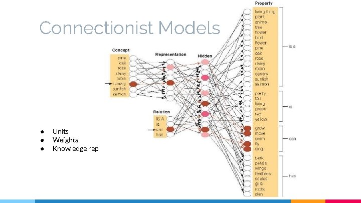 Connectionist Models ● ● ● Units Weights Knowledge rep 