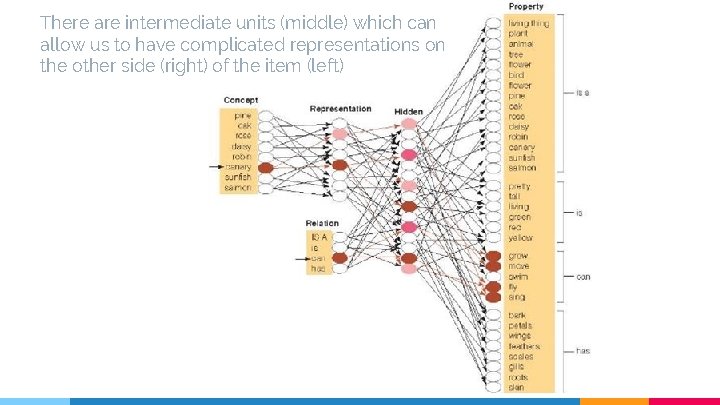 There are intermediate units (middle) which can allow us to have complicated representations on