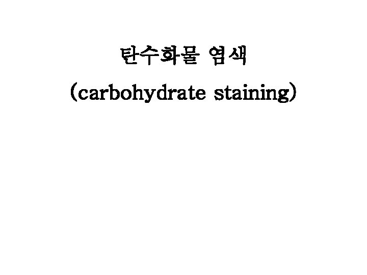 탄수화물 염색 (carbohydrate staining) 