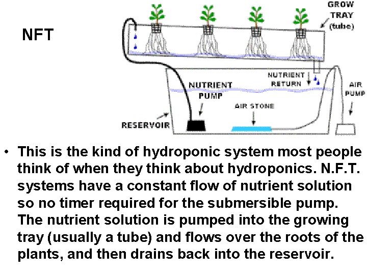 NFT • This is the kind of hydroponic system most people think of when