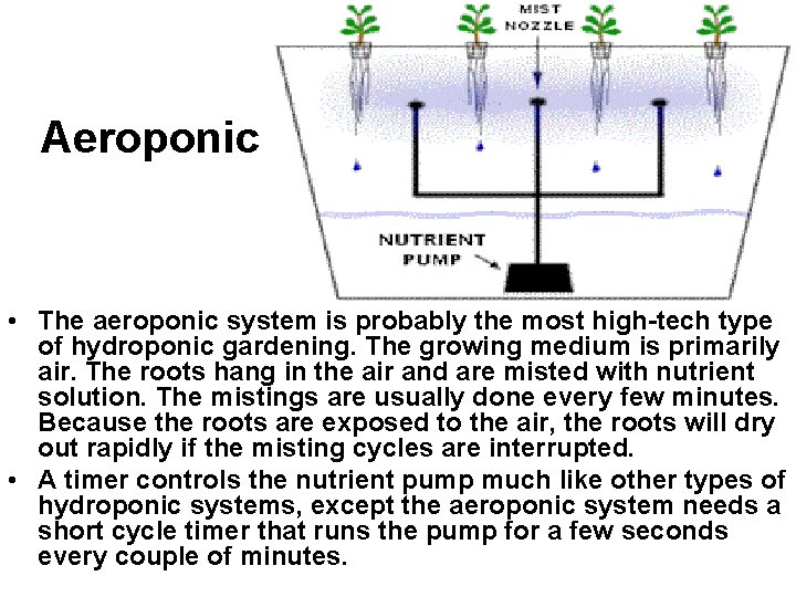 Aeroponic • The aeroponic system is probably the most high-tech type of hydroponic gardening.