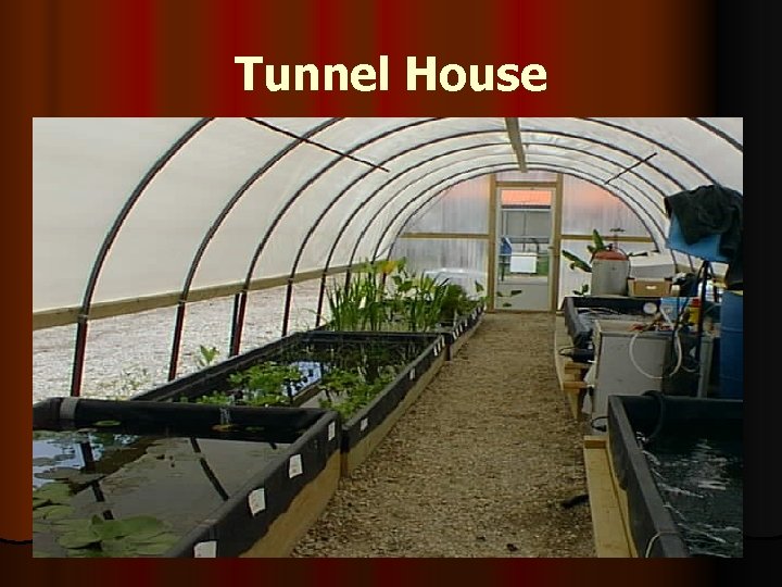 Tunnel House 