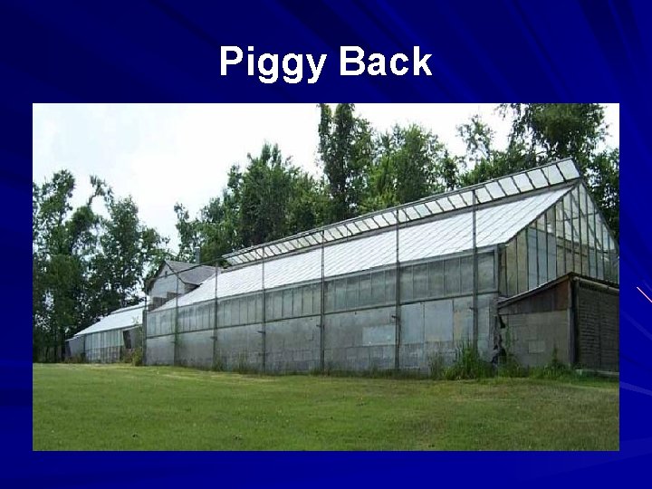 Piggy Back 