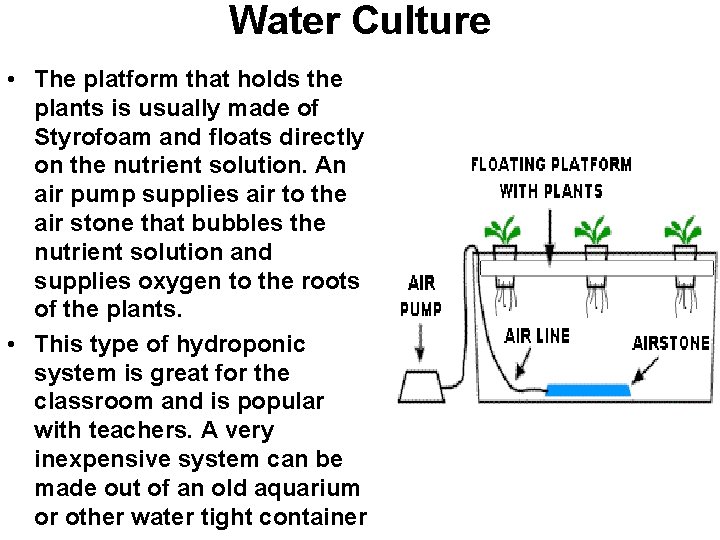 Water Culture • The platform that holds the plants is usually made of Styrofoam Water Culture • The platform that holds the plants is usually made of Styrofoam