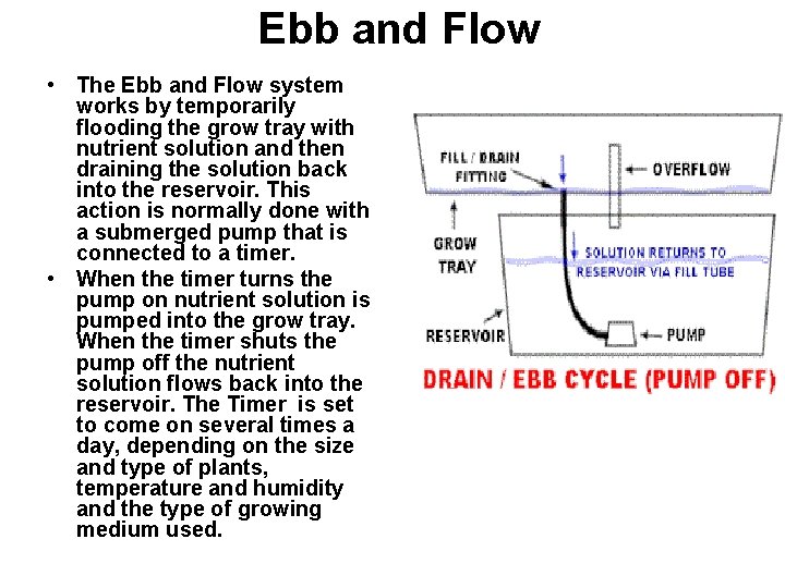 Ebb and Flow • The Ebb and Flow system works by temporarily flooding the