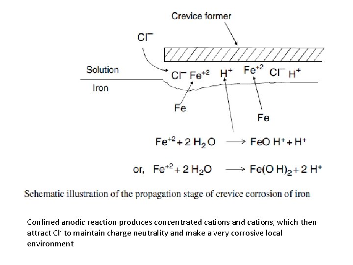 Confined anodic reaction produces concentrated cations and cations, which then attract Cl- to maintain