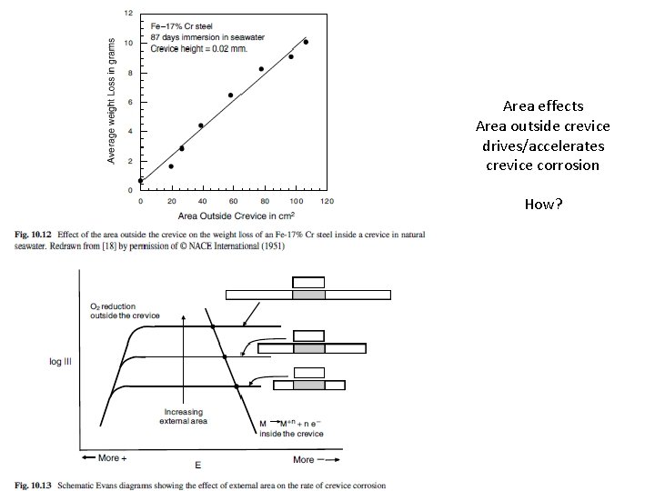 Area effects Area outside crevice drives/accelerates crevice corrosion How? 