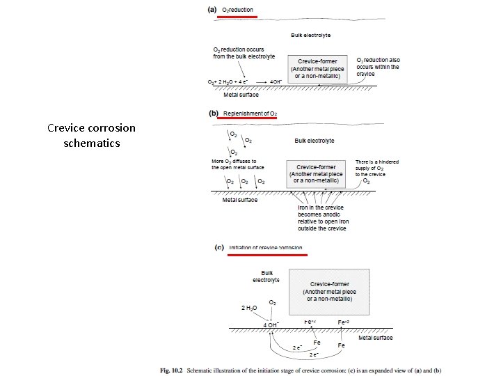 Crevice corrosion schematics 