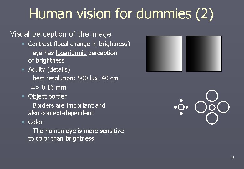 Human vision for dummies (2) Visual perception of the image § Contrast (local change