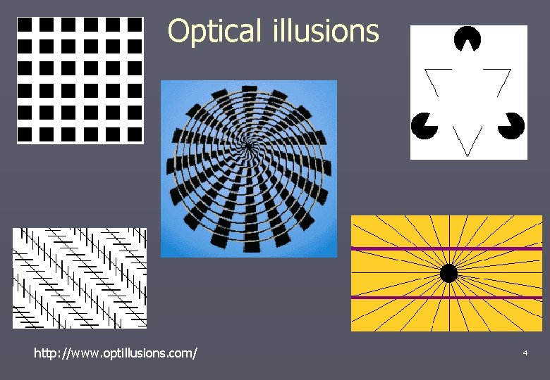 Optical illusions http: //www. optillusions. com/ 4 