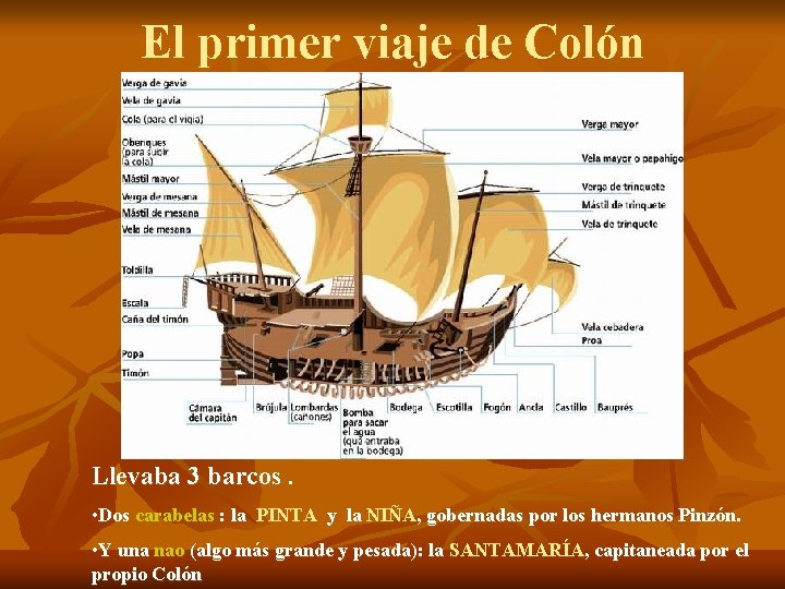 El primer viaje de Colón Llevaba 3 barcos. • Dos carabelas : la PINTA El primer viaje de Colón Llevaba 3 barcos. • Dos carabelas : la PINTA