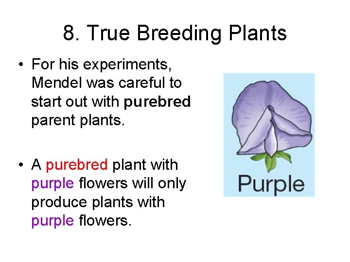 8. True Breeding Plants • For his experiments, Mendel was careful to start out