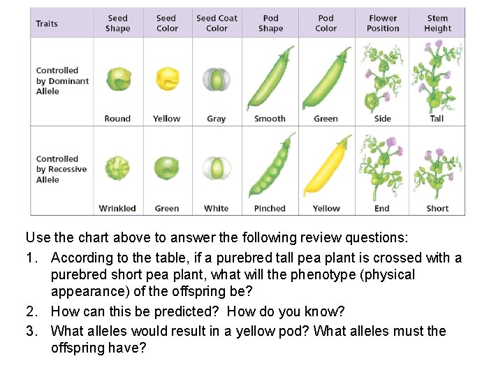 Use the chart above to answer the following review questions: 1. According to the