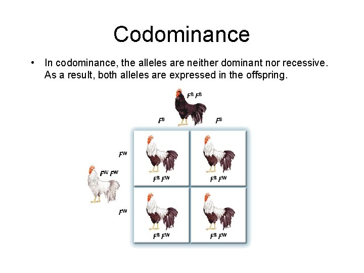 - Probability and Heredity Codominance • In codominance, the alleles are neither dominant nor