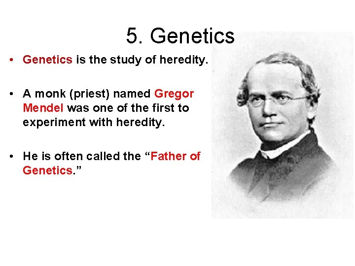 5. Genetics • Genetics is the study of heredity. • A monk (priest) named