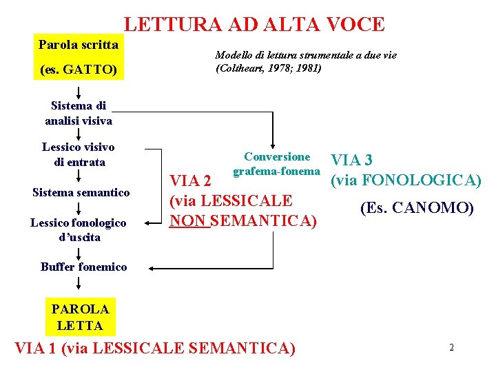 LETTURA AD ALTA VOCE Parola scritta (es. GATTO) Modello di lettura strumentale a due