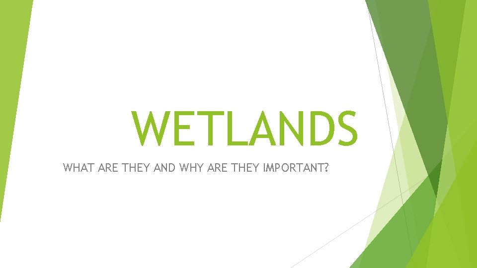 WETLANDS WHAT ARE THEY AND WHY ARE THEY IMPORTANT? 