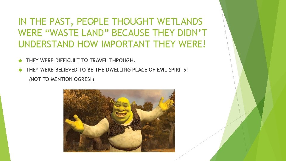 IN THE PAST, PEOPLE THOUGHT WETLANDS WERE “WASTE LAND” BECAUSE THEY DIDN’T UNDERSTAND HOW