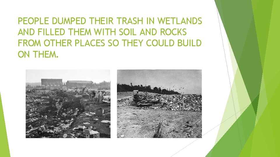 PEOPLE DUMPED THEIR TRASH IN WETLANDS AND FILLED THEM WITH SOIL AND ROCKS FROM