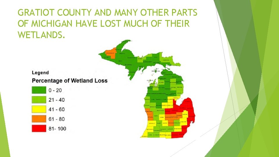 GRATIOT COUNTY AND MANY OTHER PARTS OF MICHIGAN HAVE LOST MUCH OF THEIR WETLANDS.