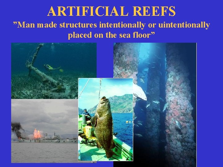 ARTIFICIAL REEFS ”Man made structures intentionally or uintentionally placed on the sea floor” 