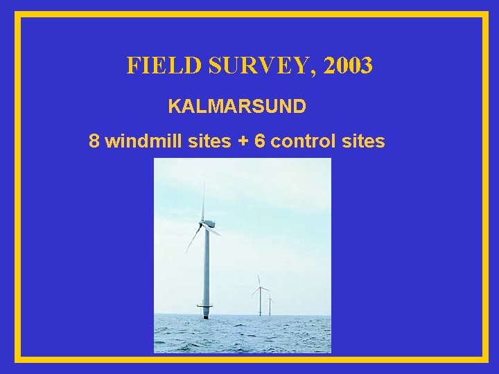 FIELD SURVEY, 2003 KALMARSUND 8 windmill sites + 6 control sites 