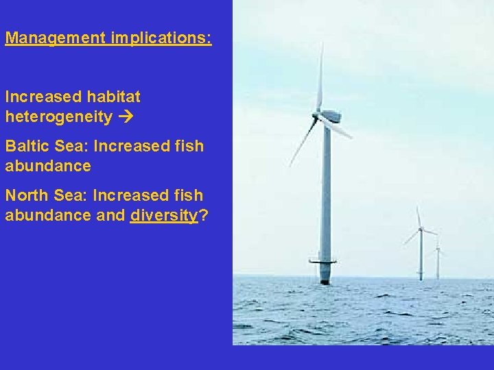 Management implications: Increased habitat heterogeneity Baltic Sea: Increased fish abundance North Sea: Increased fish