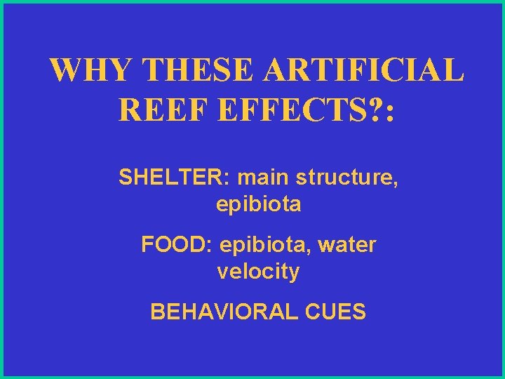 WHY THESE ARTIFICIAL REEF EFFECTS? : SHELTER: main structure, epibiota FOOD: epibiota, water velocity