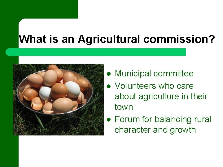 What is an Agricultural commission? Photo by NHDTTD/Cecilia Howard Municipal committee Volunteers who care