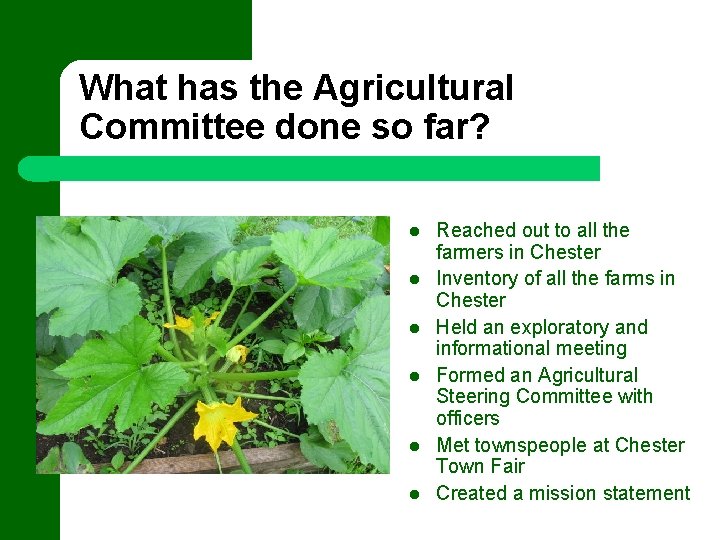 What has the Agricultural Committee done so far? Photo by NHDTTD/Jeff Newcomer Reached out