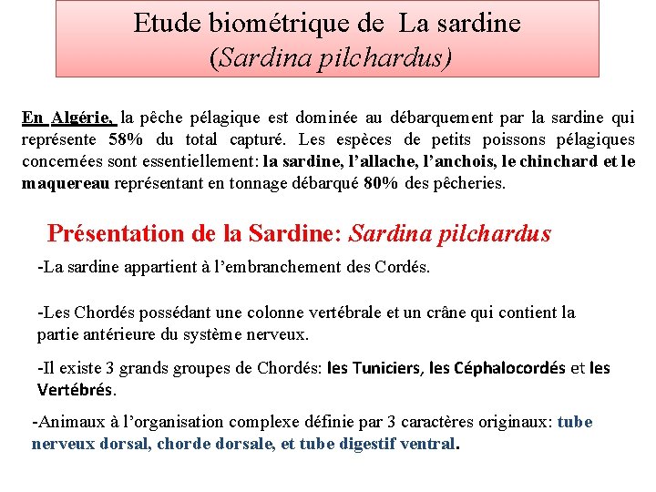 Etude biométrique de La sardine (Sardina pilchardus) En Algérie, la pêche pélagique est dominée