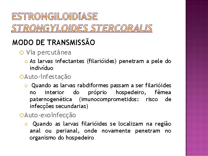 MODO DE TRANSMISSÃO Via percutânea As larvas infectantes (filarióides) penetram a pele do indivíduo