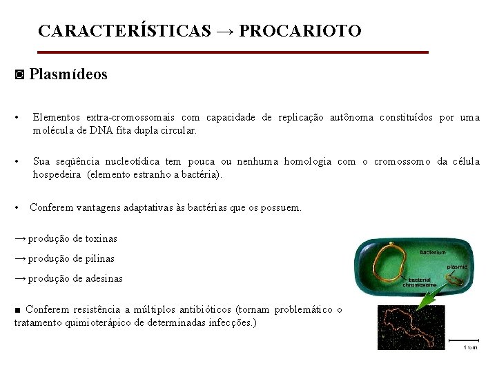 CARACTERÍSTICAS → PROCARIOTO ◙ Plasmídeos • Elementos extra-cromossomais com capacidade de replicação autônoma constituídos