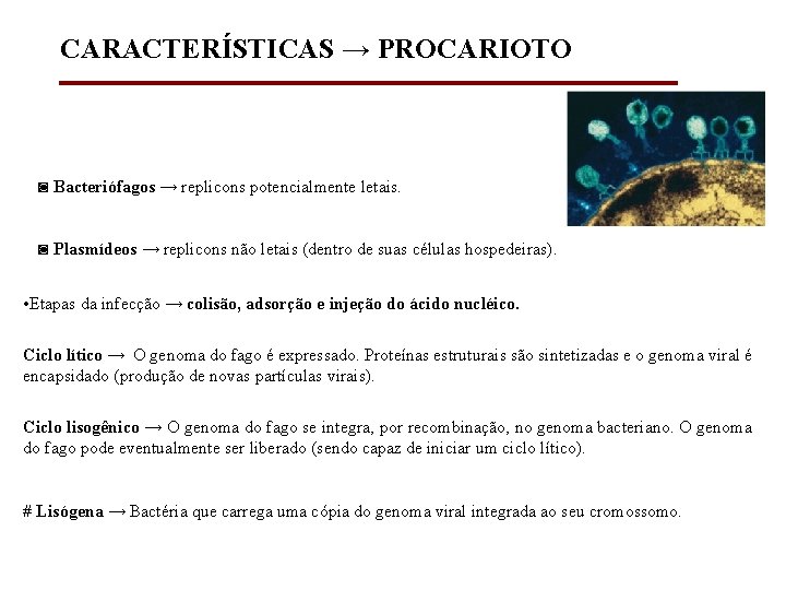CARACTERÍSTICAS → PROCARIOTO ◙ Bacteriófagos → replicons potencialmente letais. ◙ Plasmídeos → replicons não