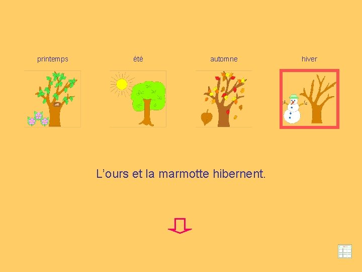 printemps été automne L’ours et la marmotte hibernent. hiver 