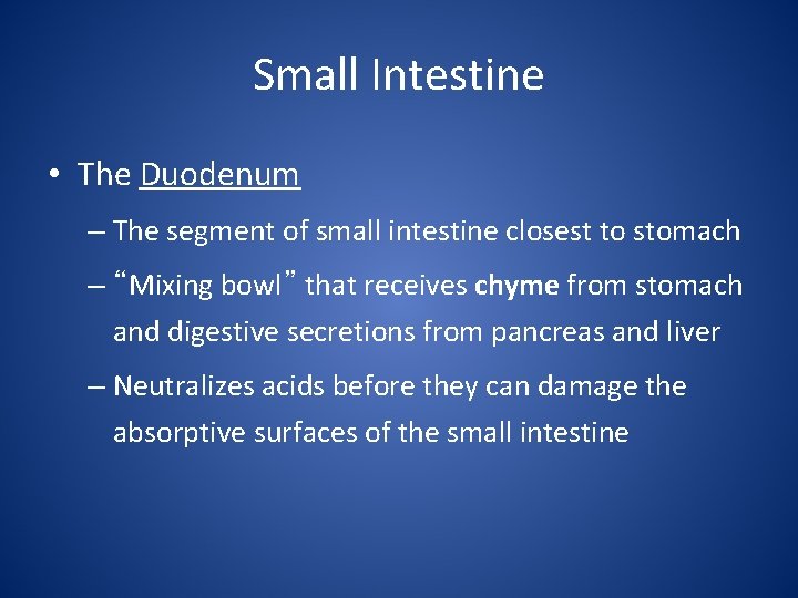 Small Intestine • The Duodenum – The segment of small intestine closest to stomach