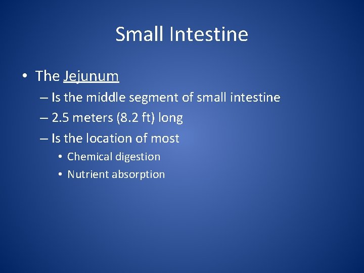 Small Intestine • The Jejunum – Is the middle segment of small intestine –