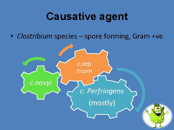 Causative agent • Clostribium species – spore forming, Gram +ve c. sep ticum c.