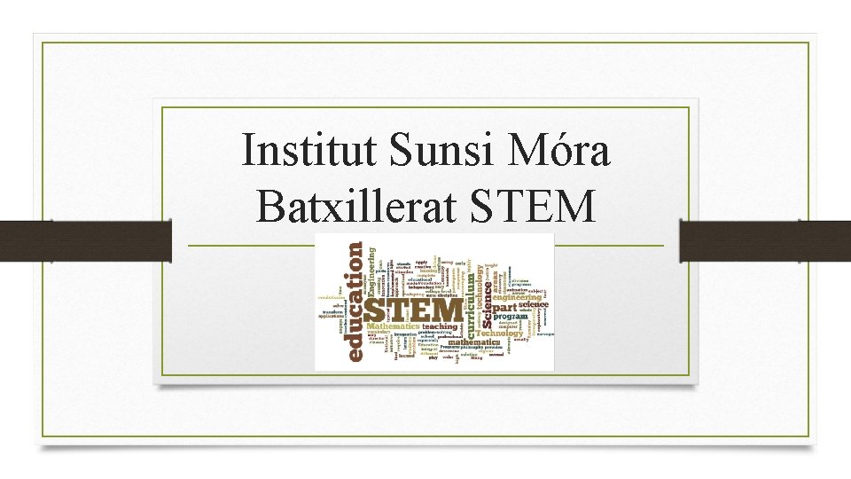 Institut Sunsi Móra Batxillerat STEM 