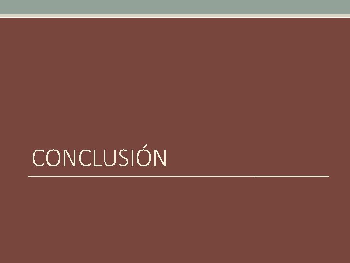 CONCLUSIÓN 