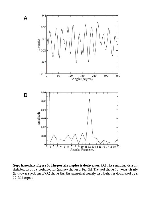 A B Supplementary Figure 5: The portal complex is dodecamer. (A) The azimuthal density