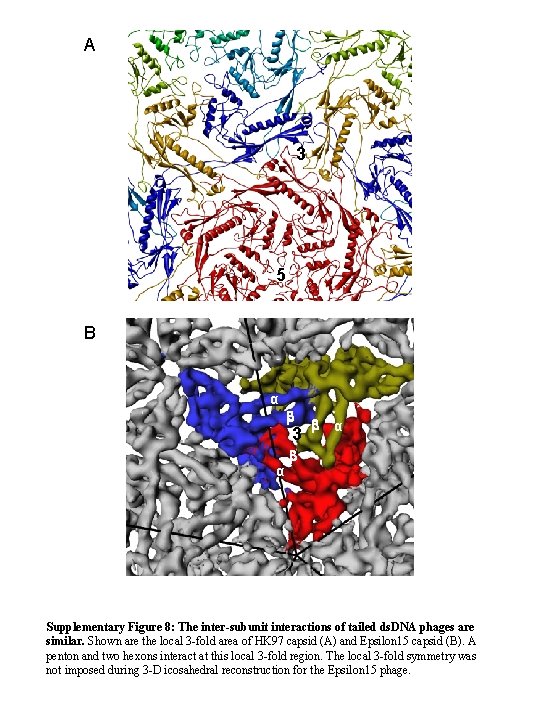 A 3 5 B α b 3 α b Supplementary Figure 8: The inter-subunit