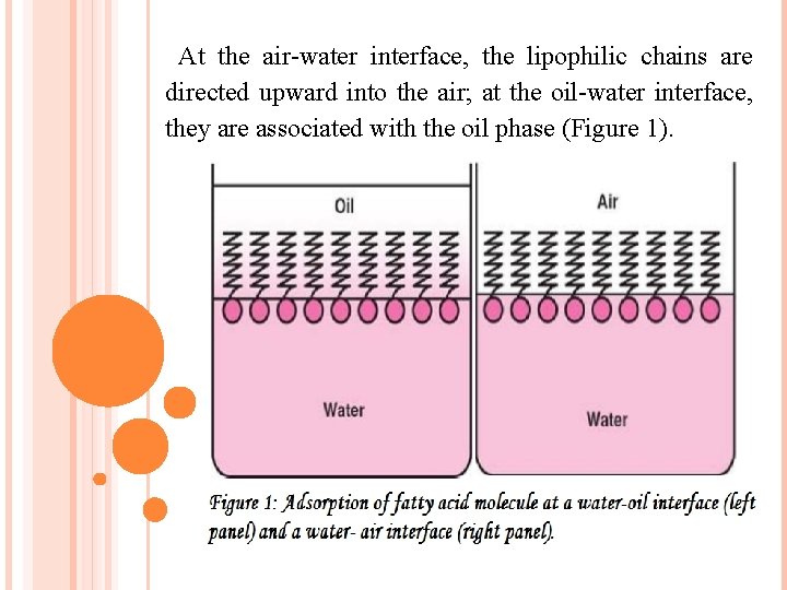  At the air-water interface, the lipophilic chains are directed upward into the air;