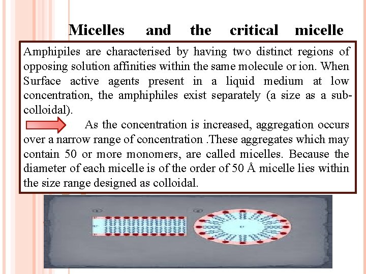 Micelles and the critical micelle Amphipiles are characterised by having two distinct regions of
