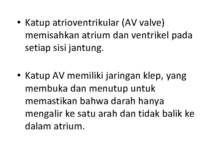  • Katup atrioventrikular (AV valve) memisahkan atrium dan ventrikel pada setiap sisi jantung.