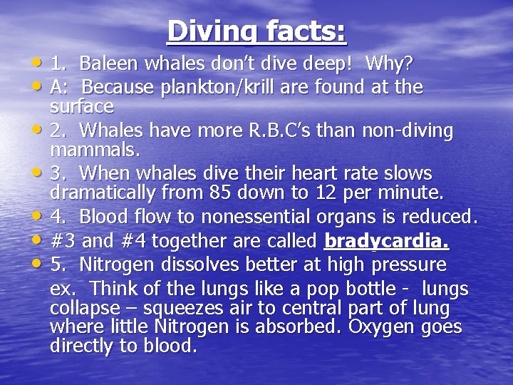 Diving facts: • 1. Baleen whales don’t dive deep! Why? • A: Because plankton/krill
