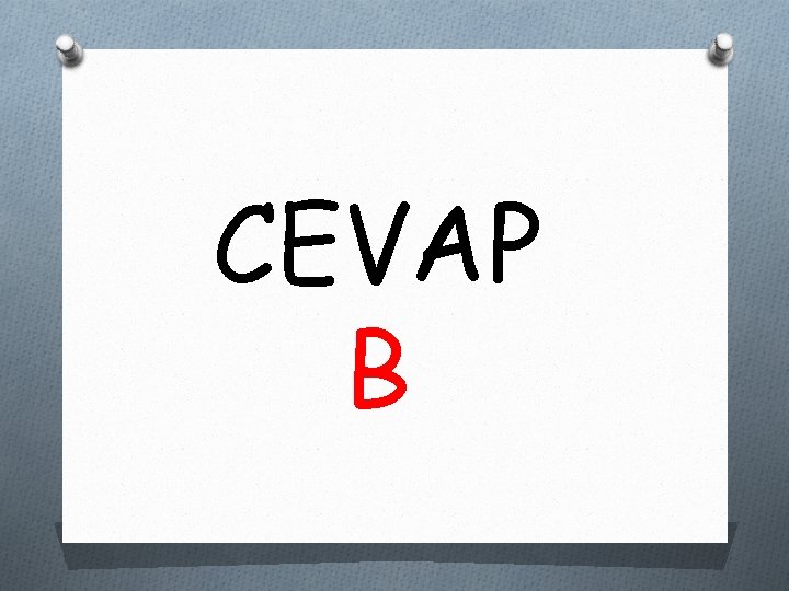 CEVAP B 