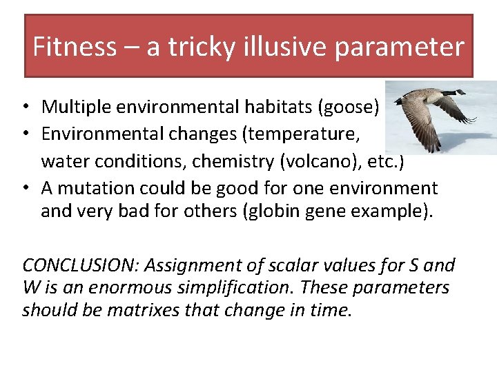 Fitness – a tricky illusive parameter • Multiple environmental habitats (goose) • Environmental changes